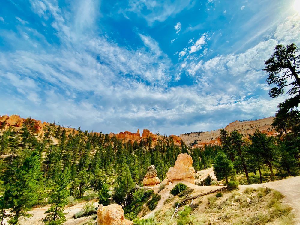 Valley Views Art | The Eclectic Art Source LLC