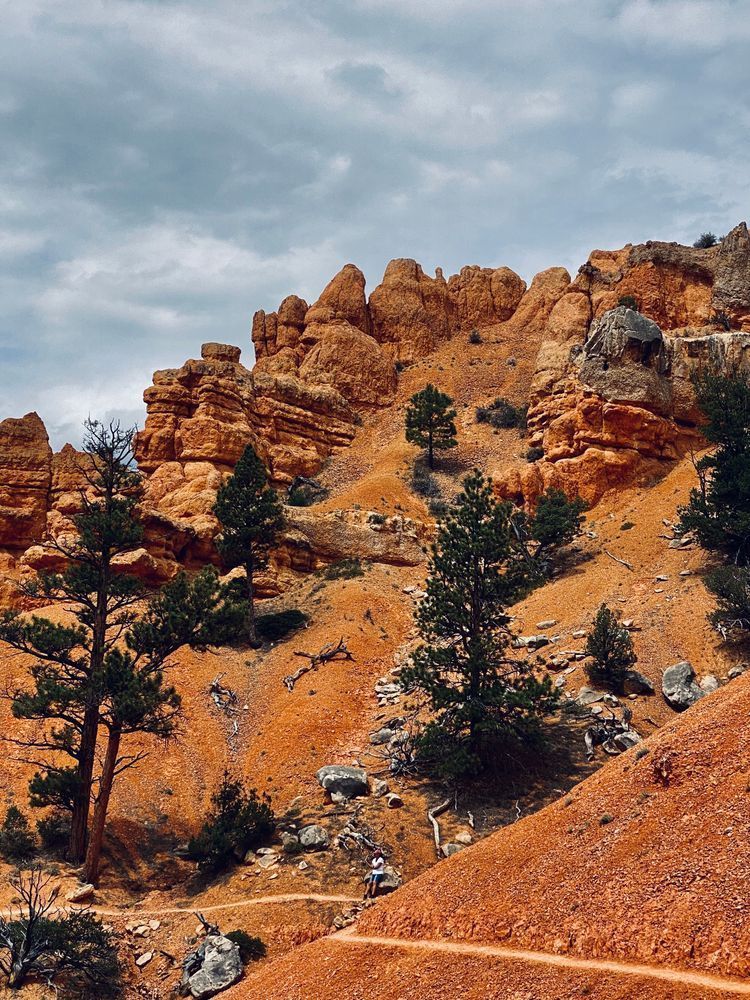 Trails On A Mountain Art | The Eclectic Art Source LLC
