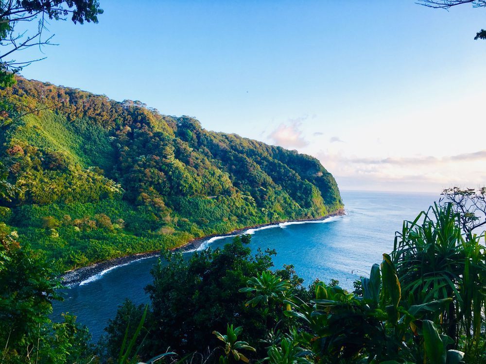 Hawaiian Views Art | The Eclectic Art Source LLC