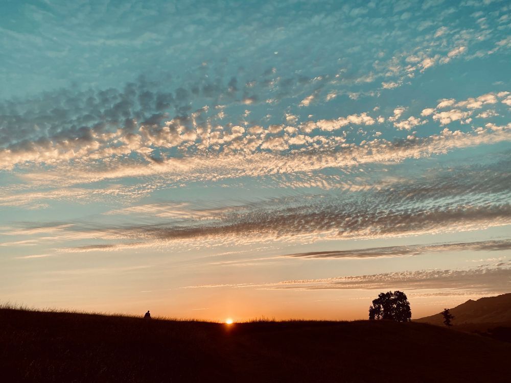 Lonely Soul Sunset Art | The Eclectic Art Source LLC