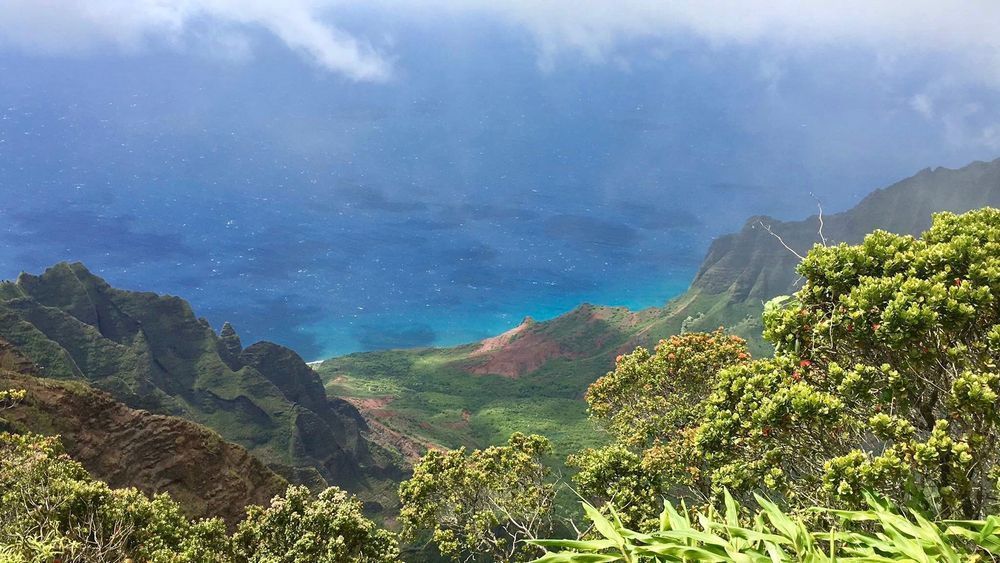 Kauai Valley Art | The Eclectic Art Source LLC