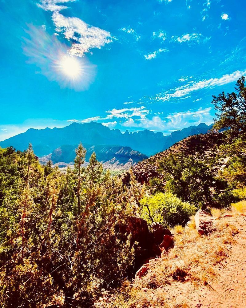 Mountain Trails Art | The Eclectic Art Source LLC