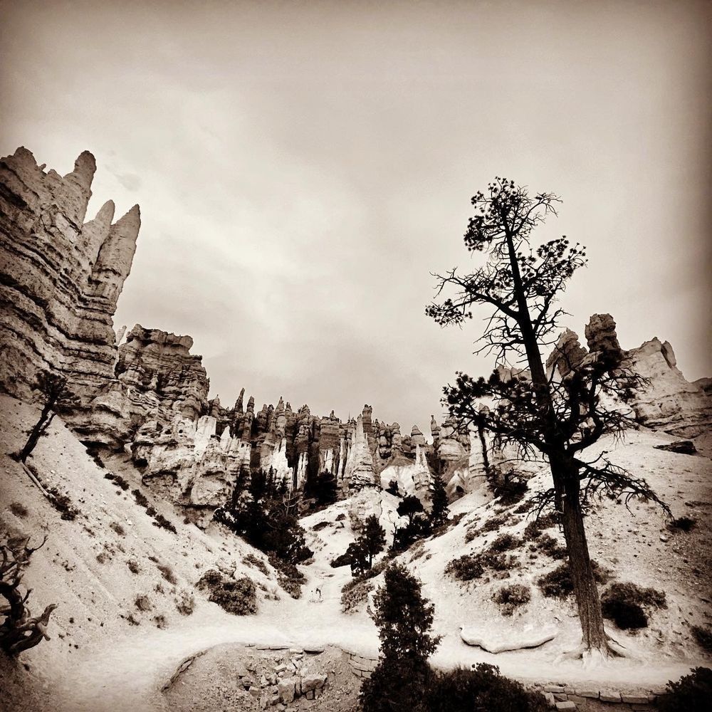 Valley Of Bryce Art | The Eclectic Art Source LLC