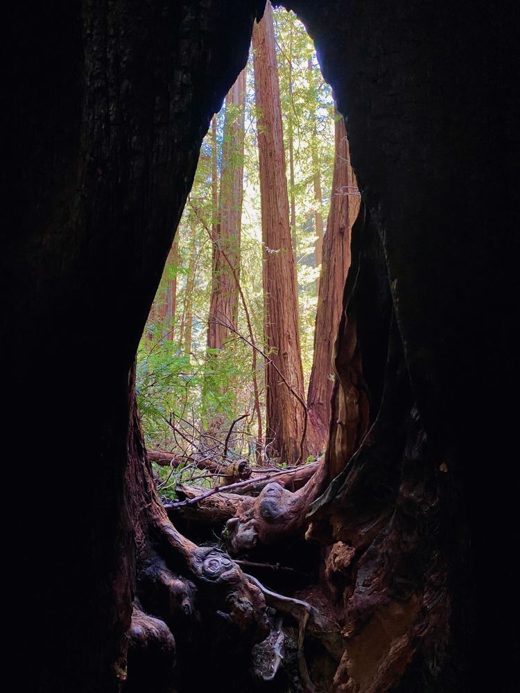 Inside Lookout Art | The Eclectic Art Source LLC