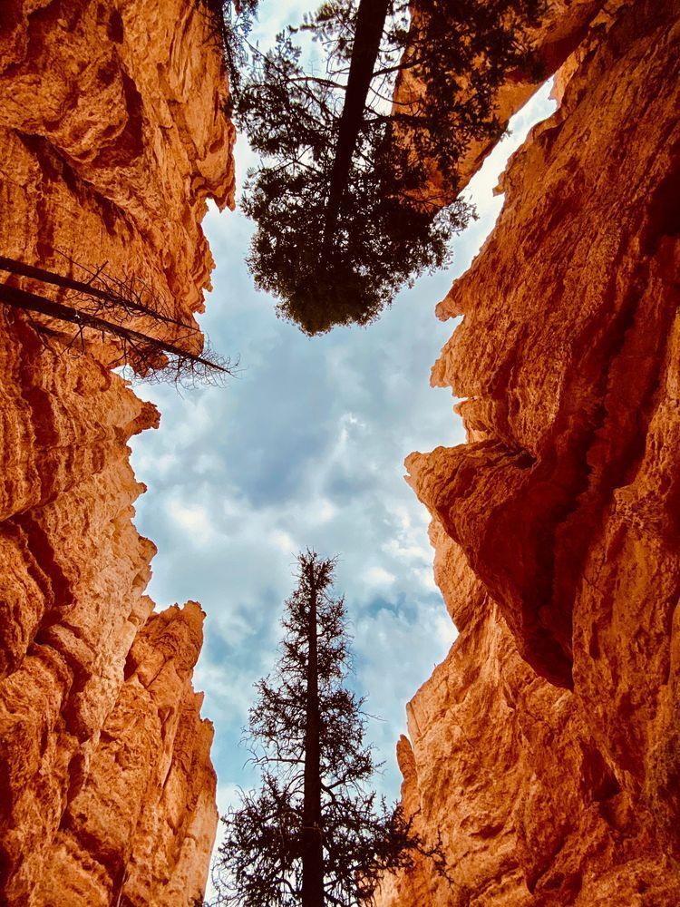 Man’s Eye View Art | The Eclectic Art Source LLC