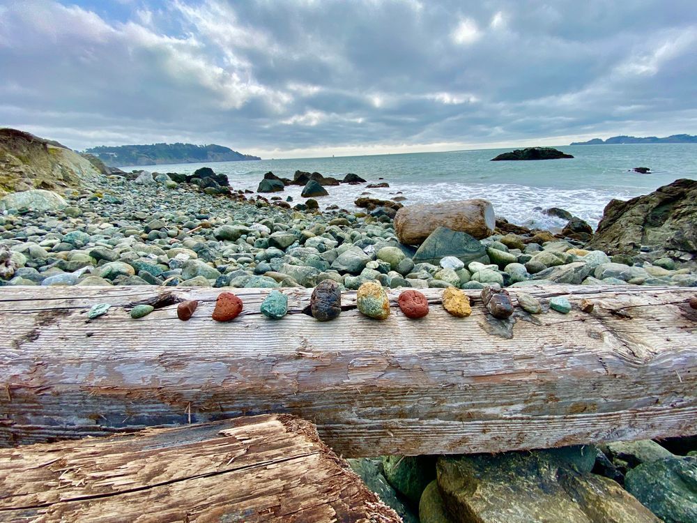 Art On The Shores Art | The Eclectic Art Source LLC
