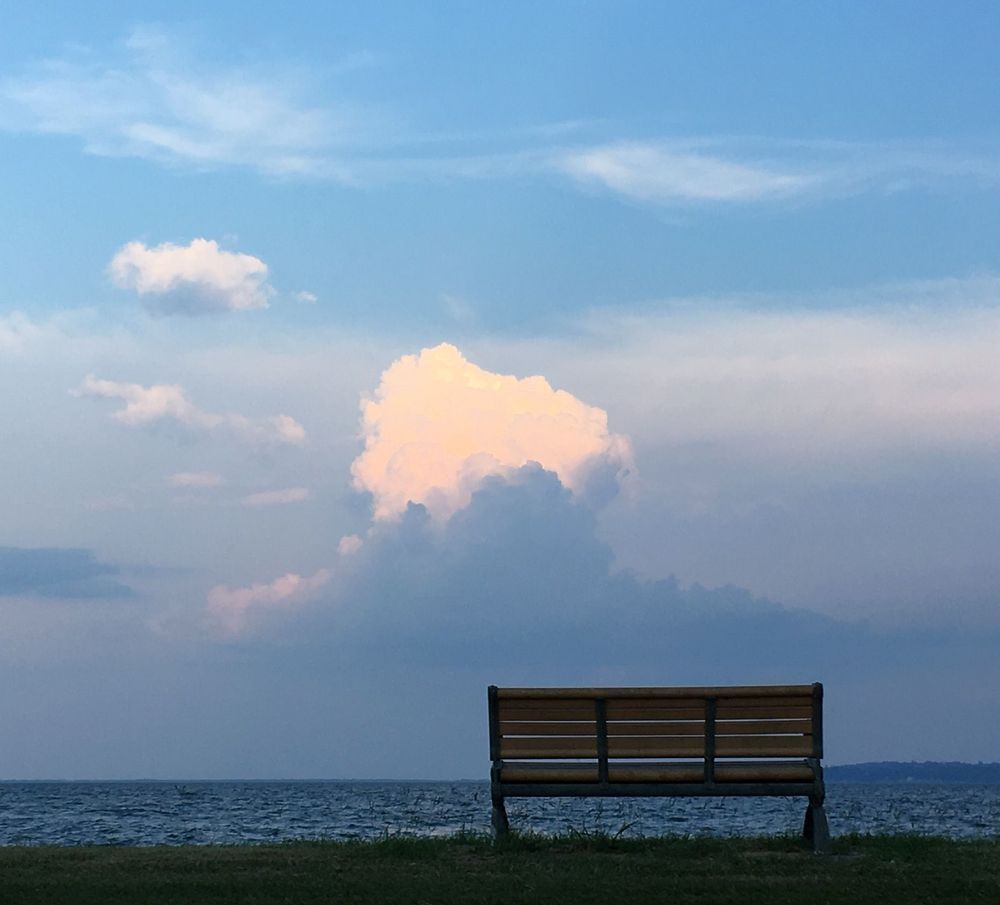 Lake Life Art | The Eclectic Art Source LLC