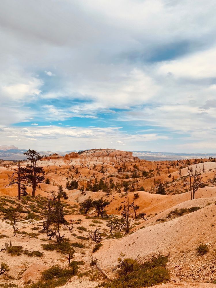 Valley Of The Bryce Art | The Eclectic Art Source LLC