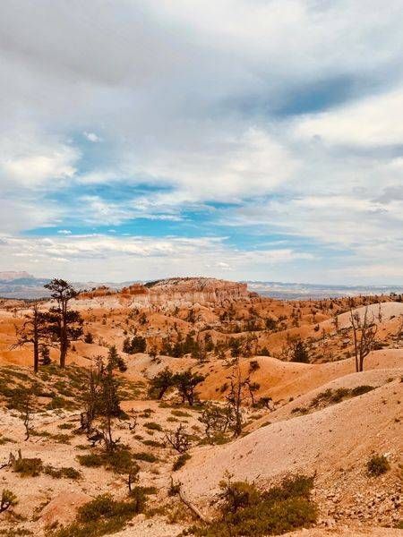 Valley Of The Bryce Art | The Eclectic Art Source LLC