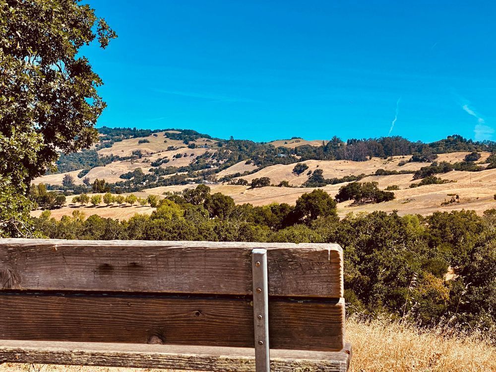Seat With A View Art | The Eclectic Art Source LLC