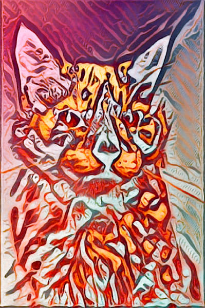 Mad Cat Club Art | The Eclectic Art Source LLC