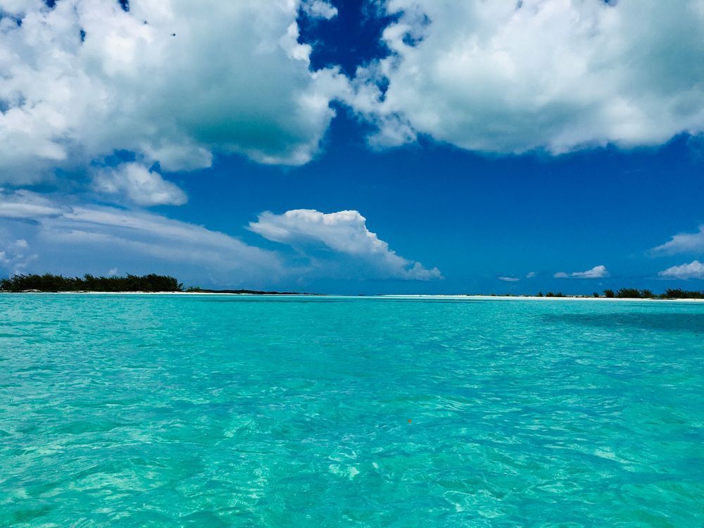 Aqua Blue Art | The Eclectic Art Source LLC