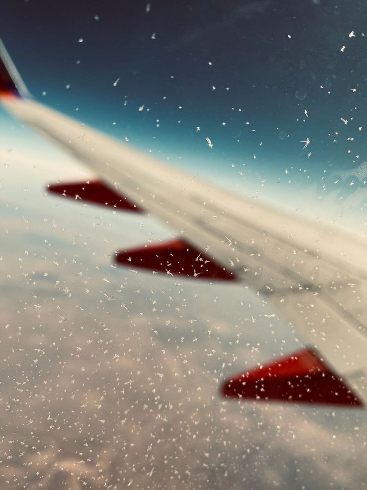 High On An Aeroplane Art | The Eclectic Art Source LLC