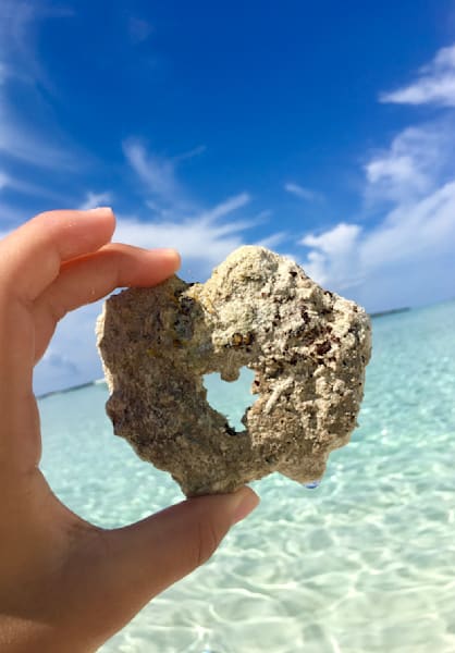 Heart Of The Sea Art | The Eclectic Art Source LLC