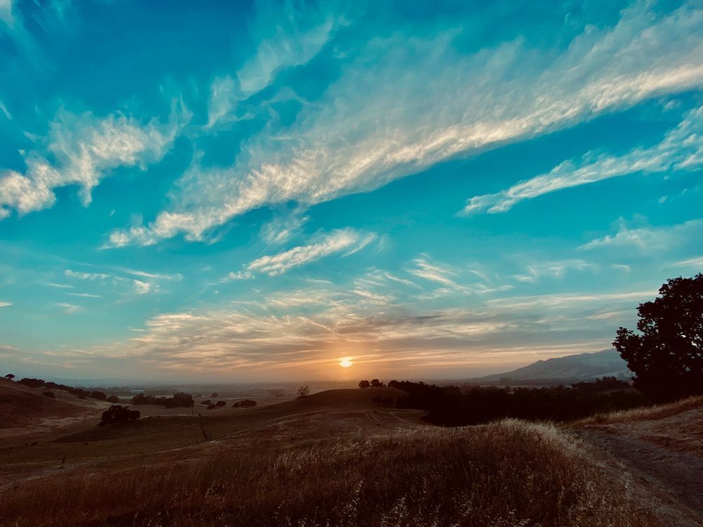 Sweet Blue Skies Art | The Eclectic Art Source LLC
