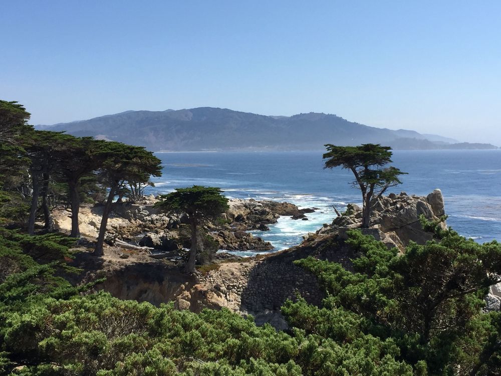 California Coast Art | The Eclectic Art Source LLC