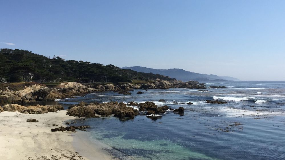 Pebble Beach Waters Art | The Eclectic Art Source LLC