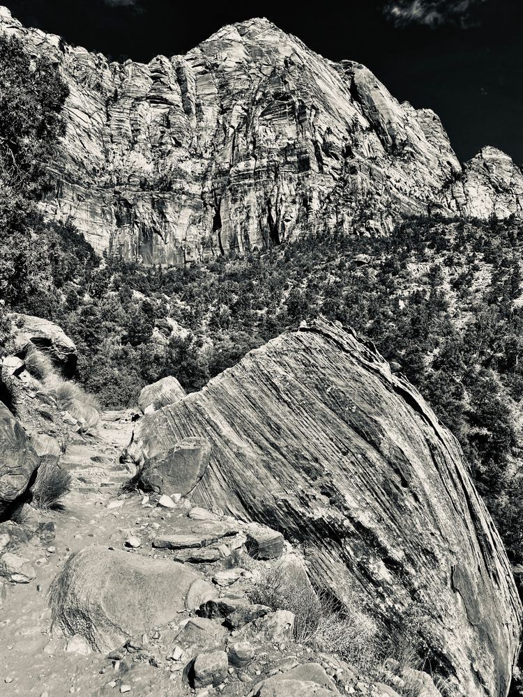 The Zion Trail Art | The Eclectic Art Source LLC