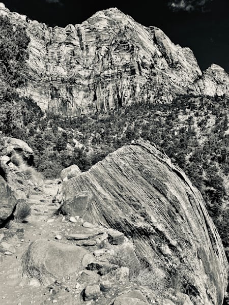The Zion Trail Art | The Eclectic Art Source LLC
