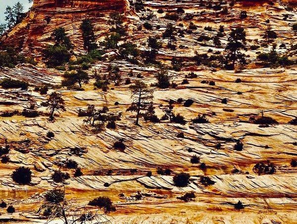 Brittle Cliffs Art | The Eclectic Art Source LLC