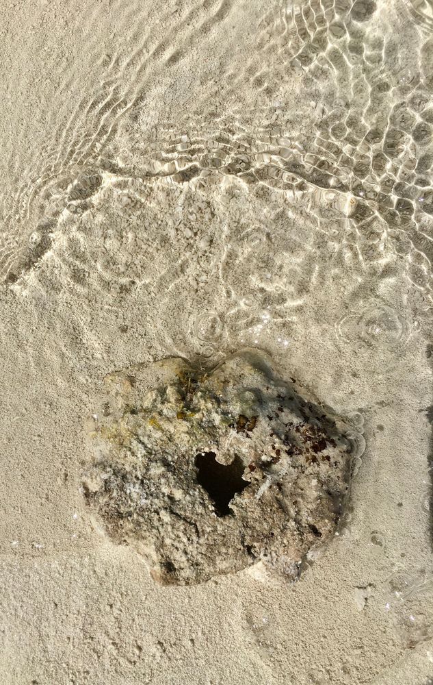 Love From The Sea Art | The Eclectic Art Source LLC