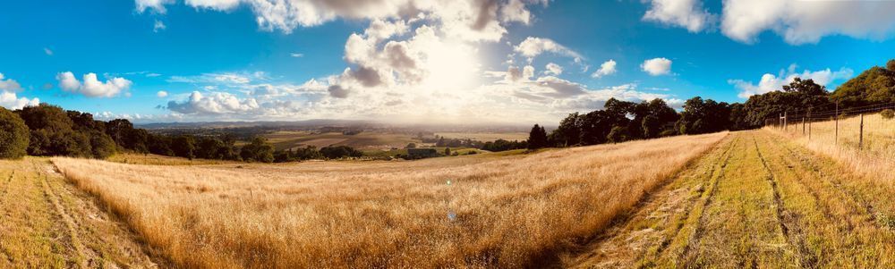 Field Of The Sun Art | The Eclectic Art Source LLC