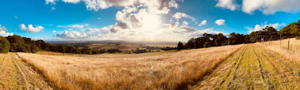 Field Of The Sun Art | The Eclectic Art Source LLC