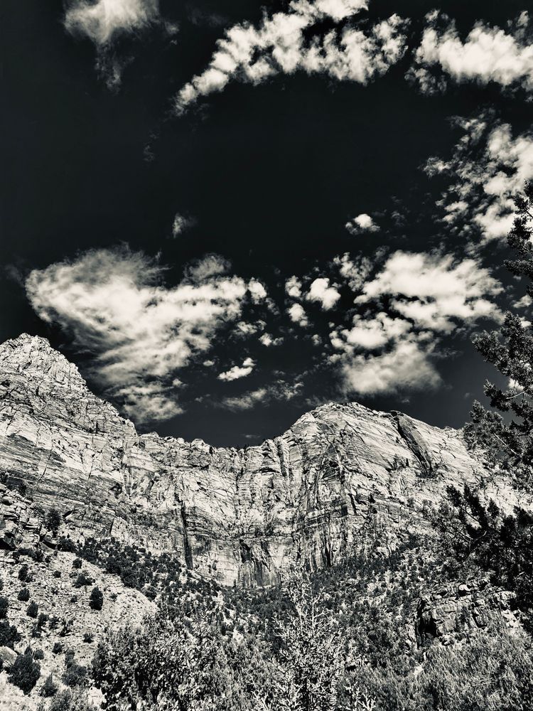 The Mountain Art | The Eclectic Art Source LLC