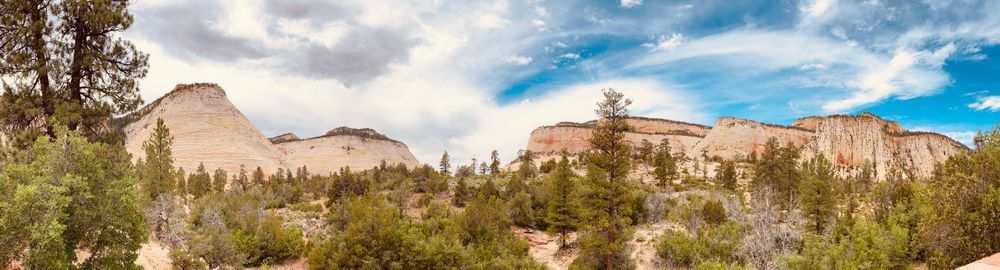 Scenic Route Art | The Eclectic Art Source LLC