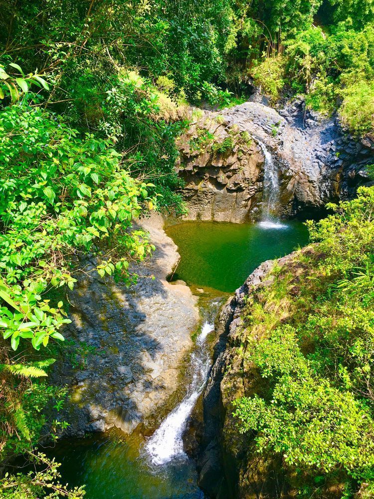 Forest Waterfalls Art | The Eclectic Art Source LLC