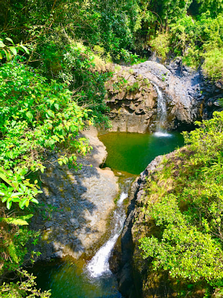 Forest Waterfalls Art | The Eclectic Art Source LLC