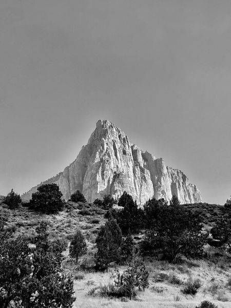 Zion Top Art | The Eclectic Art Source LLC