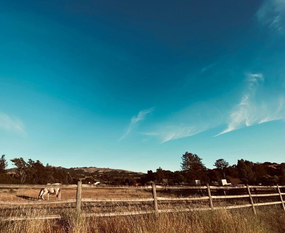 Horses In The Valley Art | The Eclectic Art Source LLC