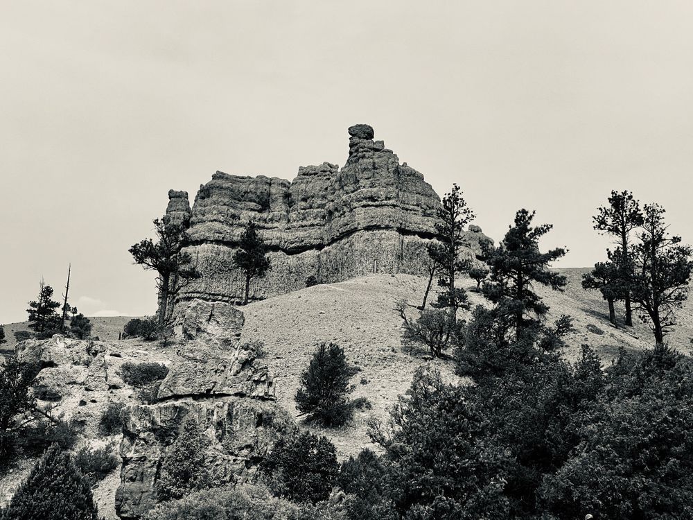 Tower Of Babel Art | The Eclectic Art Source LLC