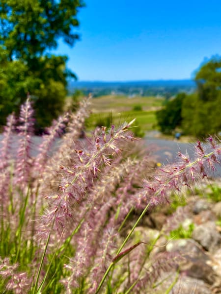 Beauty On The Horizon Art | The Eclectic Art Source LLC