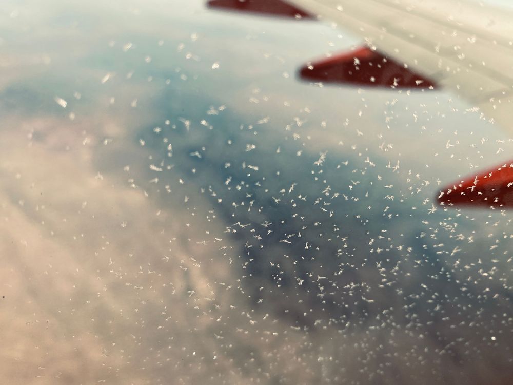 Frosty Window Art | The Eclectic Art Source LLC