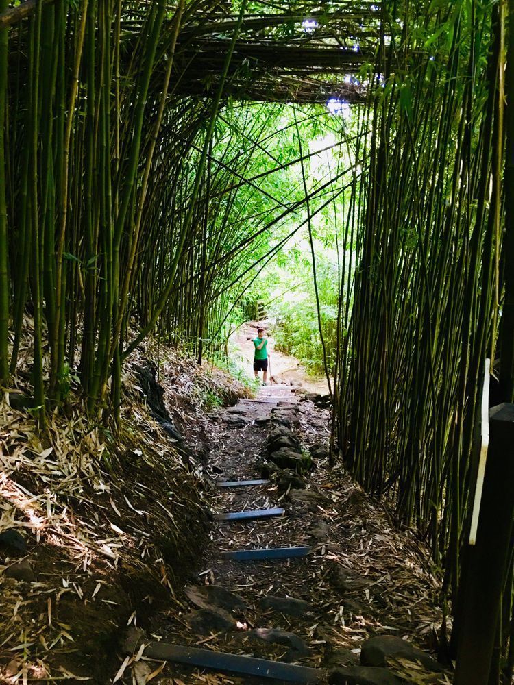 Hidden Trails Art | The Eclectic Art Source LLC