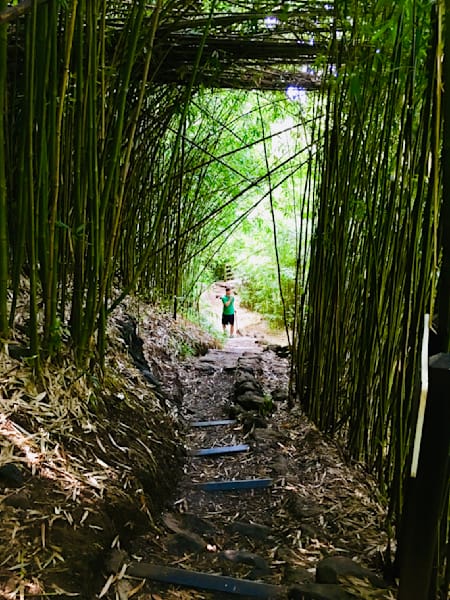 Hidden Trails Art | The Eclectic Art Source LLC