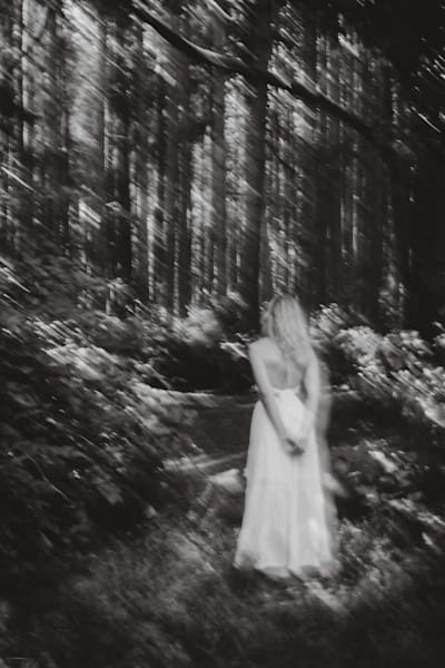 Forest Reverie – Expressionist Fine Art Photo by Luis R.R. Siqueira