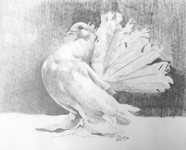 Drawing