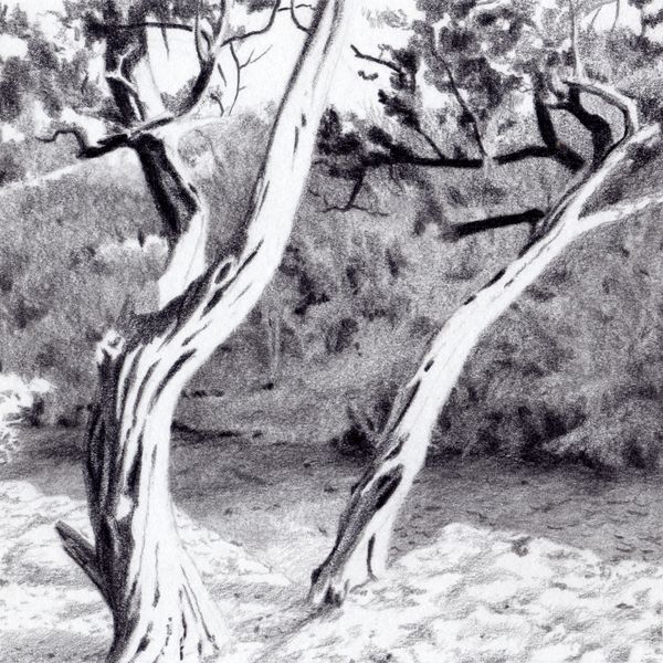 Drawings