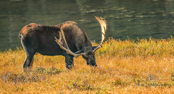 Rocky Mountain National Park