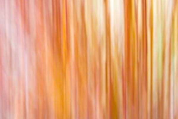 Abstracts