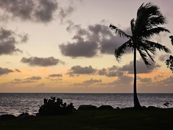 Florida Landscapes