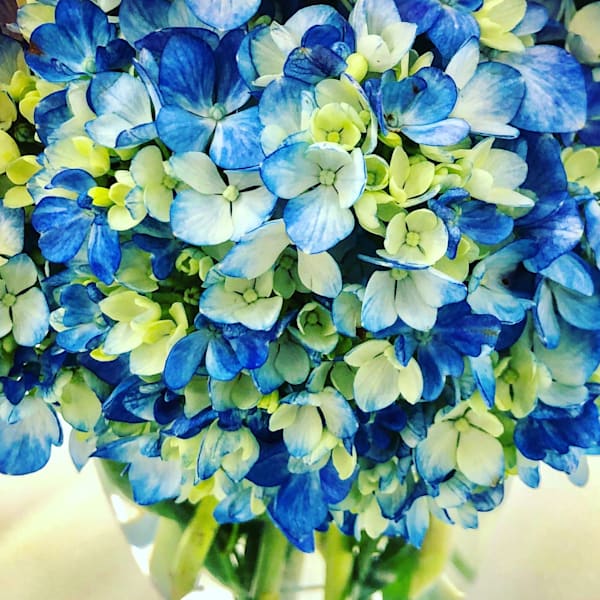 Flower Shop