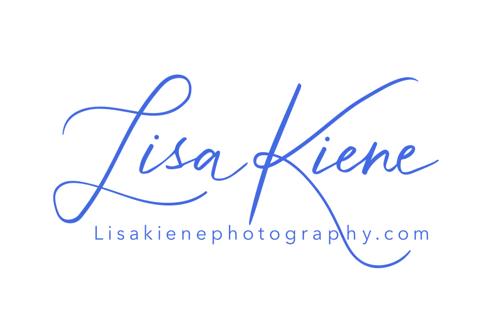lisa kiene photography