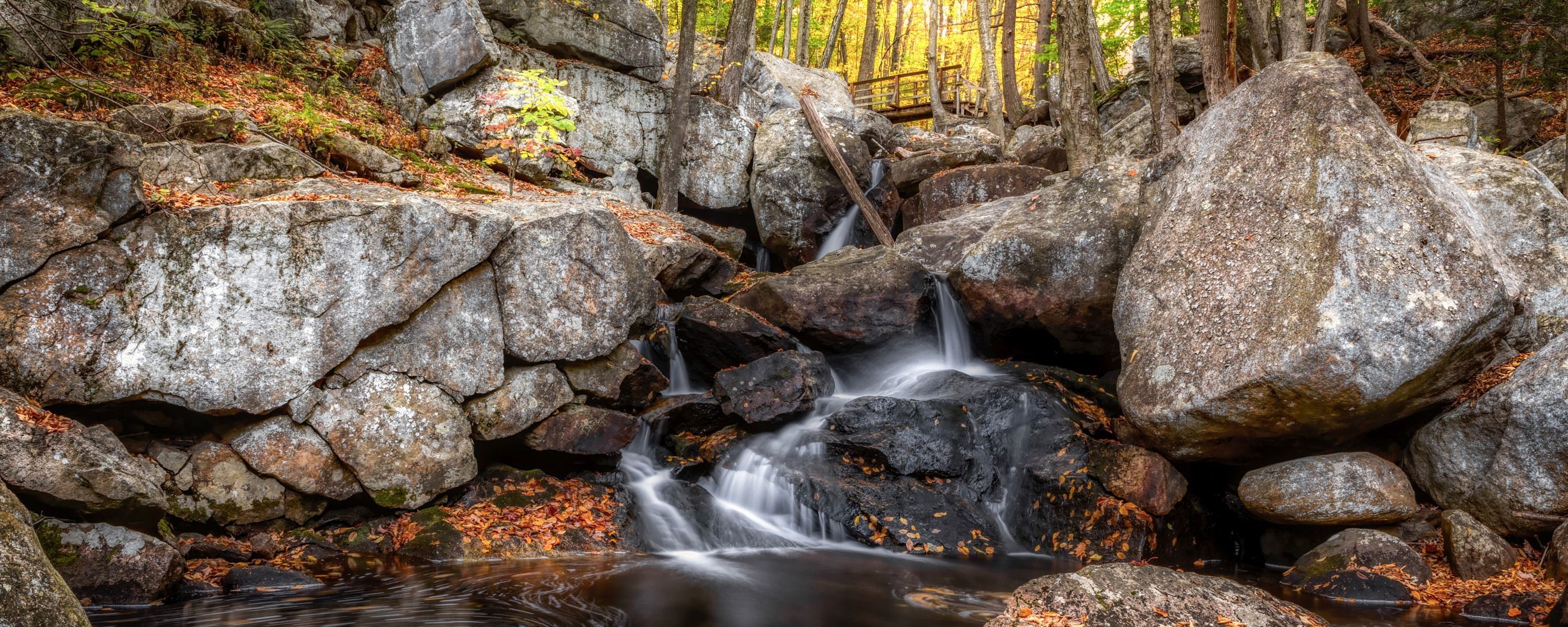 
        <div class='title'>
          ASF Slideshow 5
        </div>
       
        <div class='description'>
          
        </div>
      