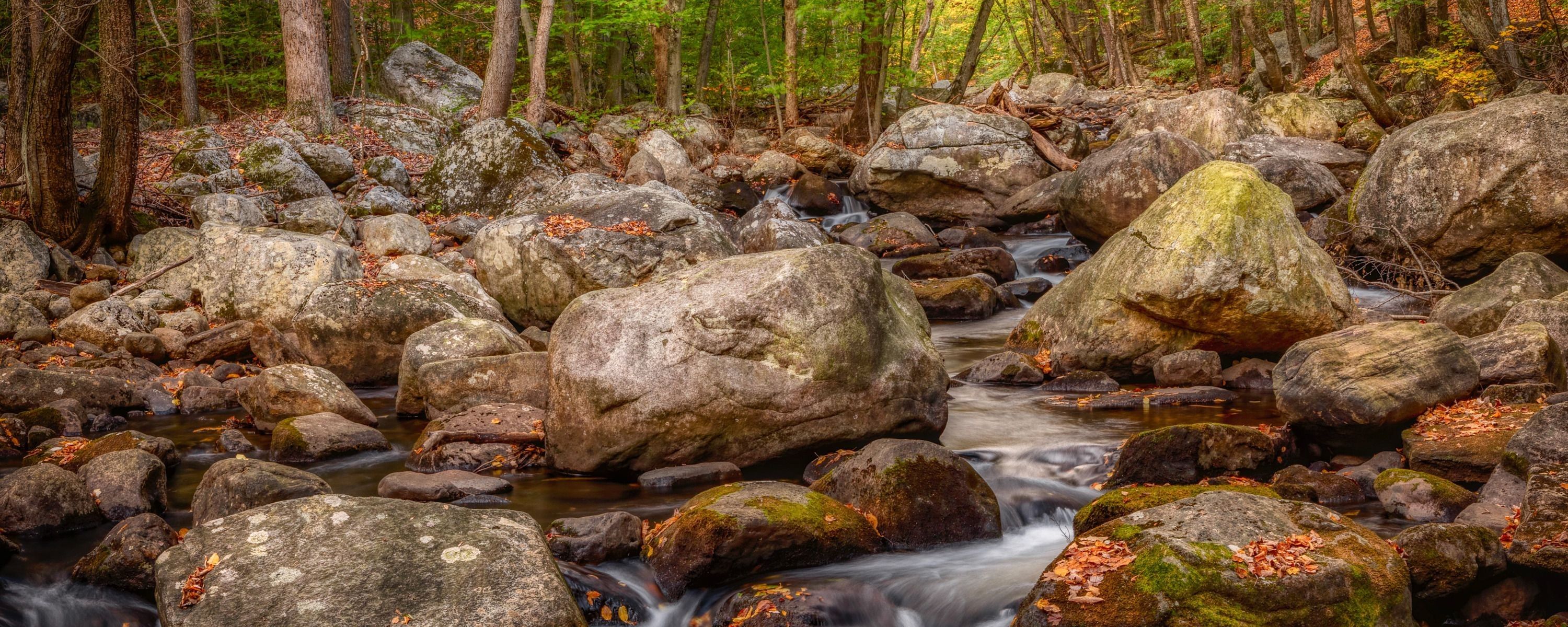 
        <div class='title'>
          ASF Slideshow 4
        </div>
       
        <div class='description'>
          
        </div>
      