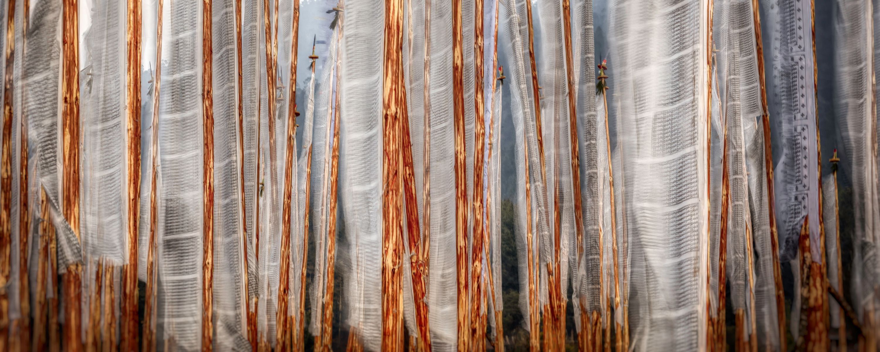 
        <div class='title'>
          ASF Slideshow 6
        </div>
       
        <div class='description'>
          
        </div>
      