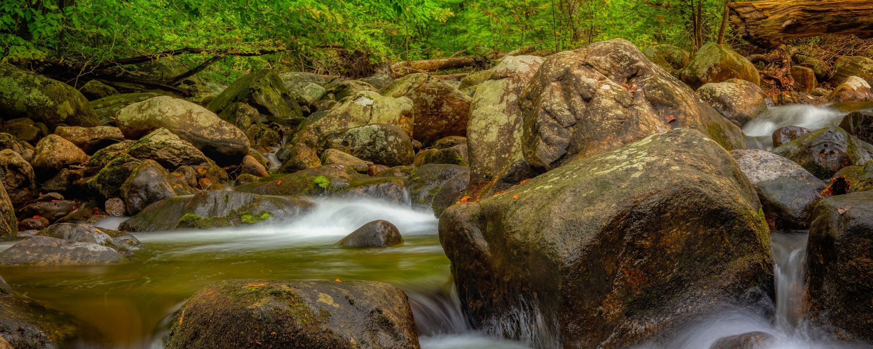 
        <div class='title'>
          ASF Slideshow 13
        </div>
       
        <div class='description'>
          
        </div>
      